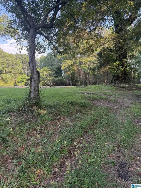 937 Morris Majestic Rd #1, Morris, AL 35116
