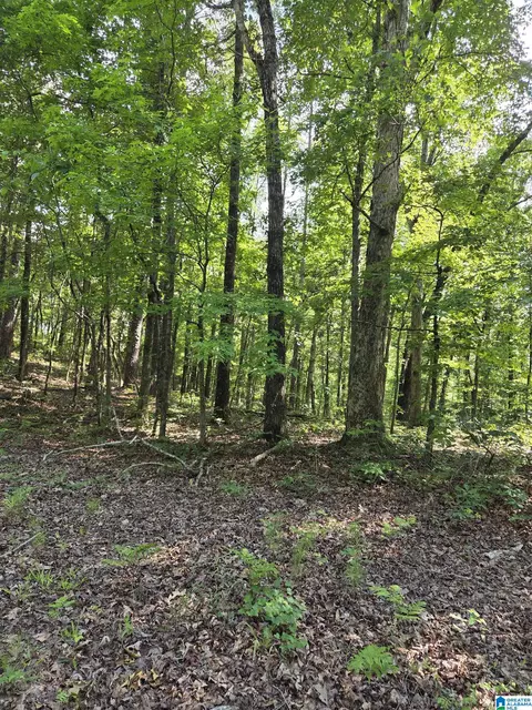 0 Highway 280 #5, Sylacauga, AL 35150