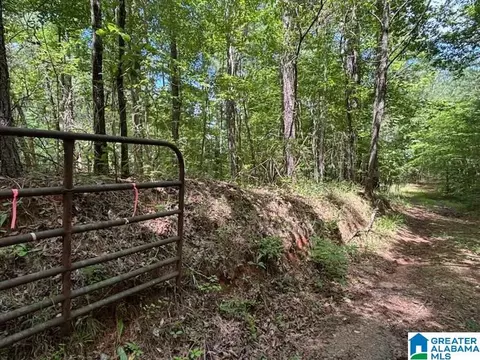 0 Coosa County Road 29 #1, Rockford, AL 35136