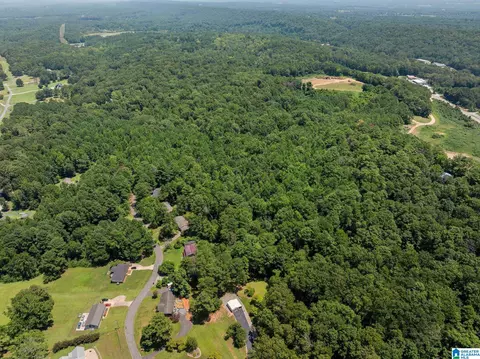 0 Sunshine Ave #N/A, Oneonta, AL 35121