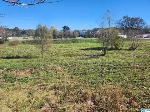 316 Highway 47 #ACREAGE, Columbiana, AL 35051