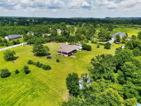 View/Area - 5363 County Road 43, Clanton, AL 35045 photo 4 of 5