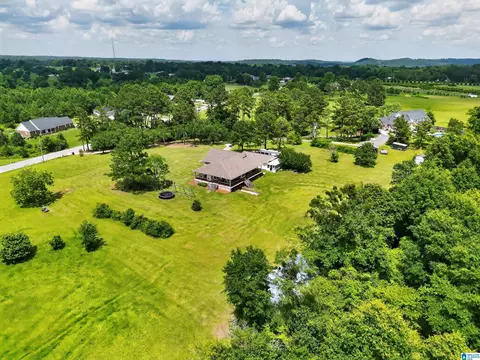 View/Area - 5363 County Road 43, Clanton, AL 35045 photo 2 of 5