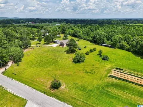 View/Area - 5363 County Road 43, Clanton, AL 35045 photo 3 of 5