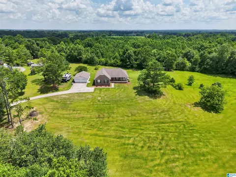 View/Area - 5363 County Road 43, Clanton, AL 35045 photo 1 of 5