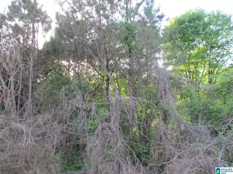 0 0 Pine Glen Rd #0, Oneonta, AL 35121