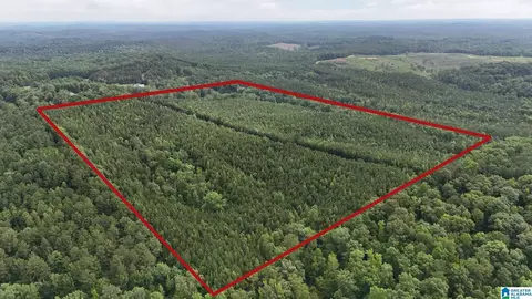 0 Skyview Lake Rd #0, Cottondale, AL 35453