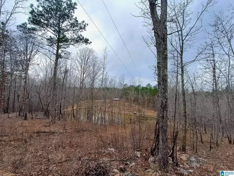 13233 Al Highway 9 #0, Kellyton, AL 35089