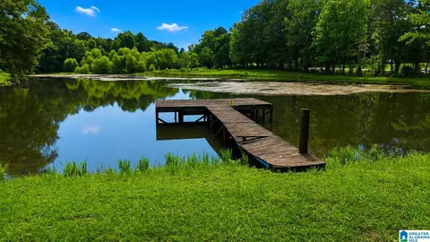 View/Area - 1050 State Highway 160, Warrior, AL 35180 photo 3 of 3