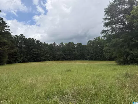 0 Hall Burton Rd #1, Sumiton, AL 35148