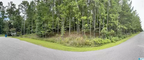303 Baron Dr #14, Chelsea, AL 35043