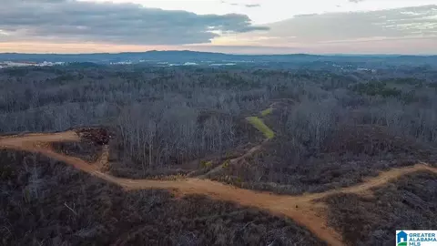 0 Coaling Rd #1, Sylacauga, AL 35151