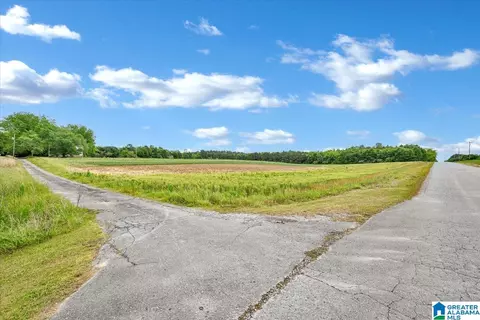900 County Road 1466 #N/A, Cullman, AL 35055