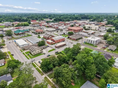 View/Area - 404 2nd Ave S, Clanton, AL 35045 photo 4 of 7