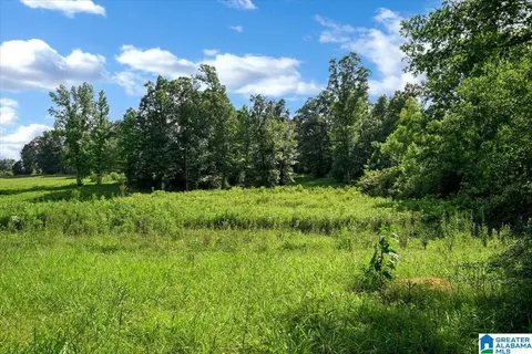 0 County Road 783 #NA, Cullman, AL 35055