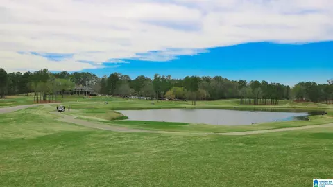 View/Area - 720 Spruce Cir, Calera, AL 35040 photo 1 of 1