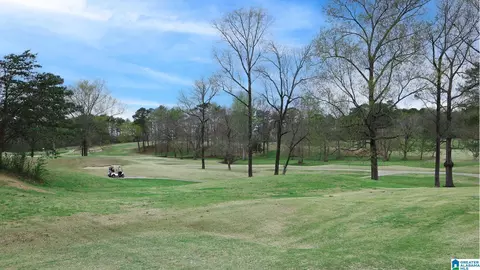 Other - 720 Spruce Cir, Calera, AL 35040 photo 6 of 7
