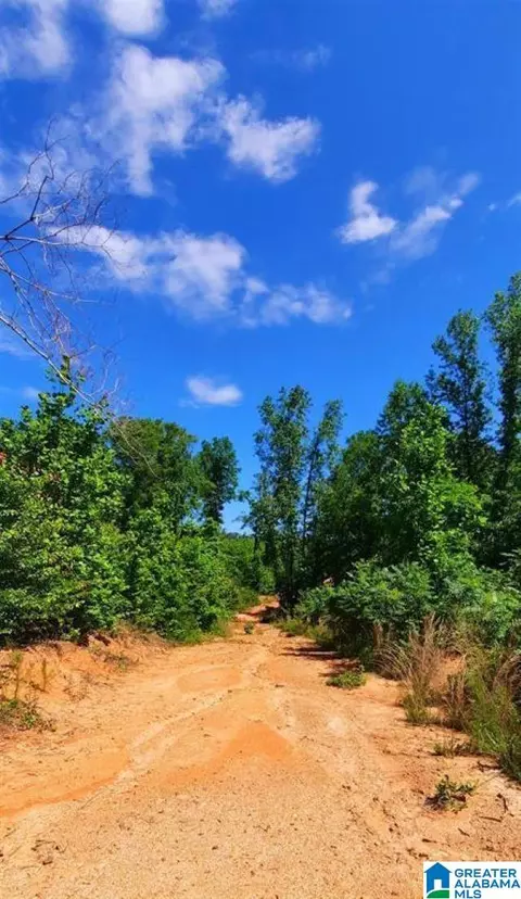 20 Acres County Road 123 #0, Wedowee, AL 36278