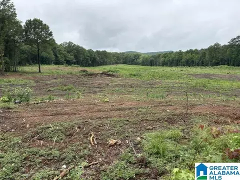13 Acres Highway 280 #0, Sylacauga, AL 35151