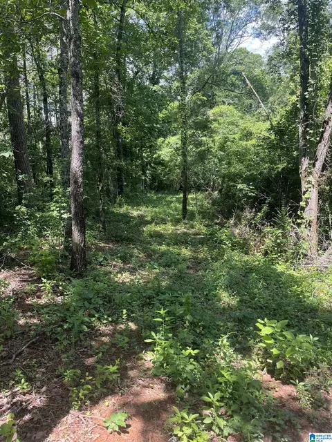 385 Carr Rd #NONE, Alpine, AL 35014