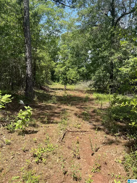 385 Carr Rd #NONE, Alpine, AL 35014