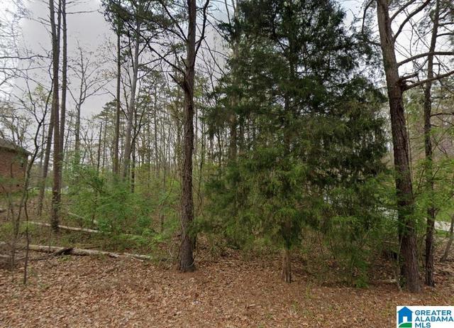 0 Woodland Ave #113, Pinson, AL 35126