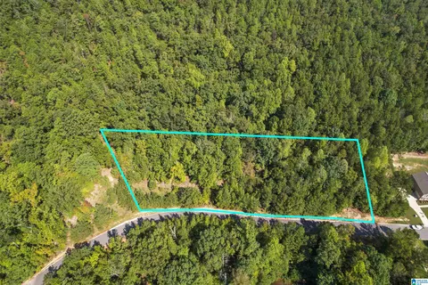#3A Deer Ridge Drive #3A, Pelham, AL 35043
