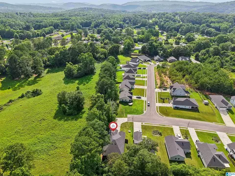 View/Area - 157 Trinity Ln, Oneonta, AL 35121 photo 5 of 5