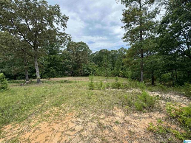 3917 County Road 1113 #1, Troy, AL 36079
