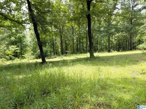 141 Prosperity Ln, Warrior, AL 35180 photo 3