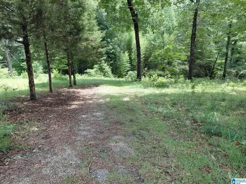 141 Prosperity Ln, Warrior, AL 35180 photo 4