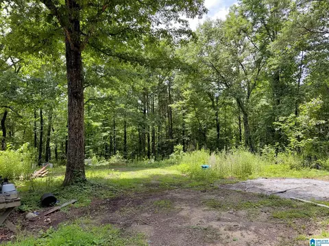 141 Prosperity Ln, Warrior, AL 35180 photo 5