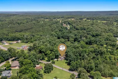 5710 Eastern Valley Rd, Mc Calla, AL 35111 photo 45