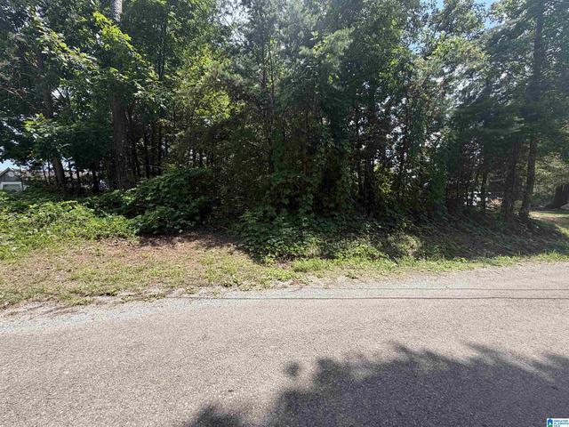 0 Holiday Dr #6, Oneonta, AL 35121