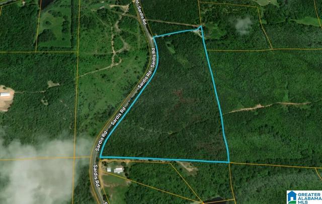 0 Bluff Springs Rd #X, Ashland, AL 36251