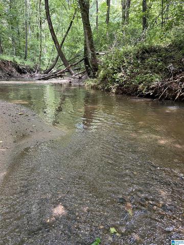 county road 246, Five Points, AL 36855