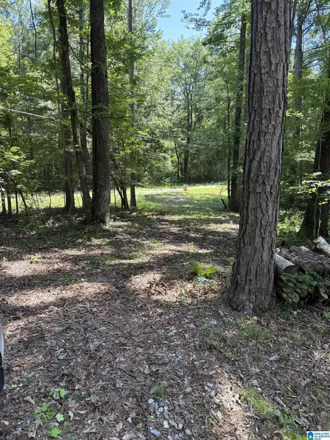 0 0 Pine Glen Rd #79, Talladega, AL 35160