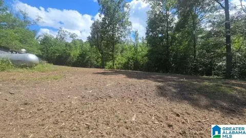 Other - 1663 County Road 2, Montevallo, AL 35115 photo 20 of 21