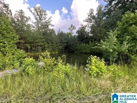 View/Area - 1663 County Road 2, Montevallo, AL 35115 photo 1 of 2