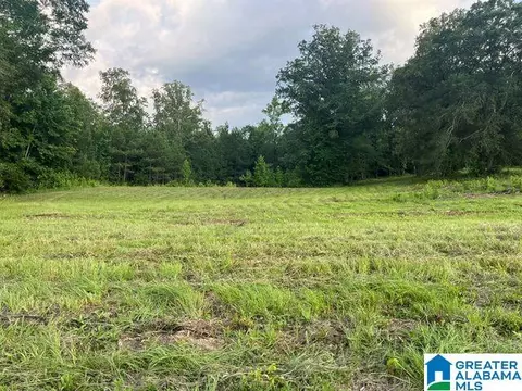 Other - 1663 County Road 2, Montevallo, AL 35115 photo 15 of 21