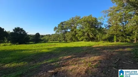 Other - 1663 County Road 2, Montevallo, AL 35115 photo 10 of 21