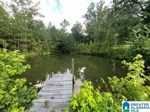 View/Area - 1663 County Road 2, Montevallo, AL 35115 photo 2 of 2