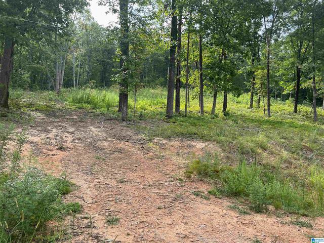 495 Anderson Mtn Dr # 24, Odenville, AL 35120