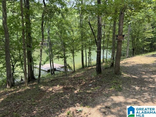 county road 803, Wedowee, AL 36278