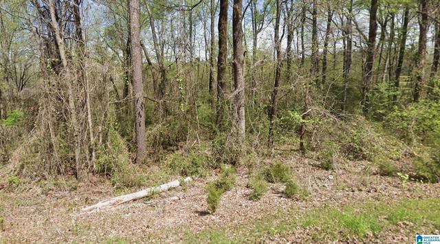 317 Hilltop Rd #NONE, Adamsville, AL 35005