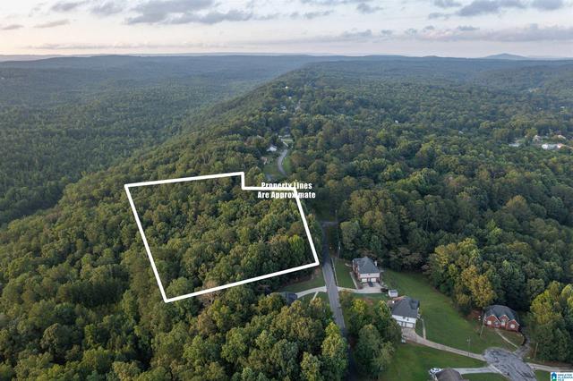 0 Levine Rd #X, Odenville, AL 35120