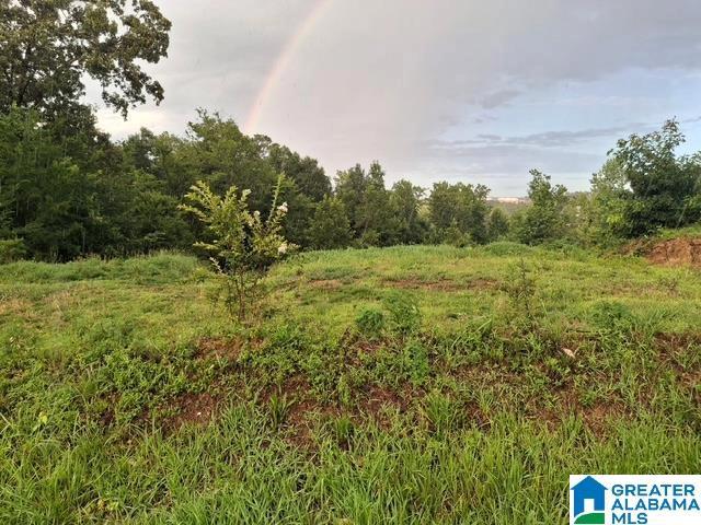 3061 Teresa Dr #296, Fultondale, AL 35217