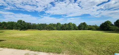 Other - 3606 Hicks Rd, Oneonta, AL 35121 photo 3 of 25