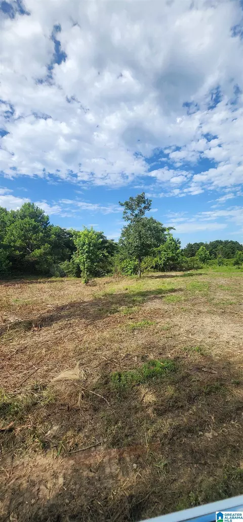 Other - 3606 Hicks Rd, Oneonta, AL 35121 photo 21 of 25