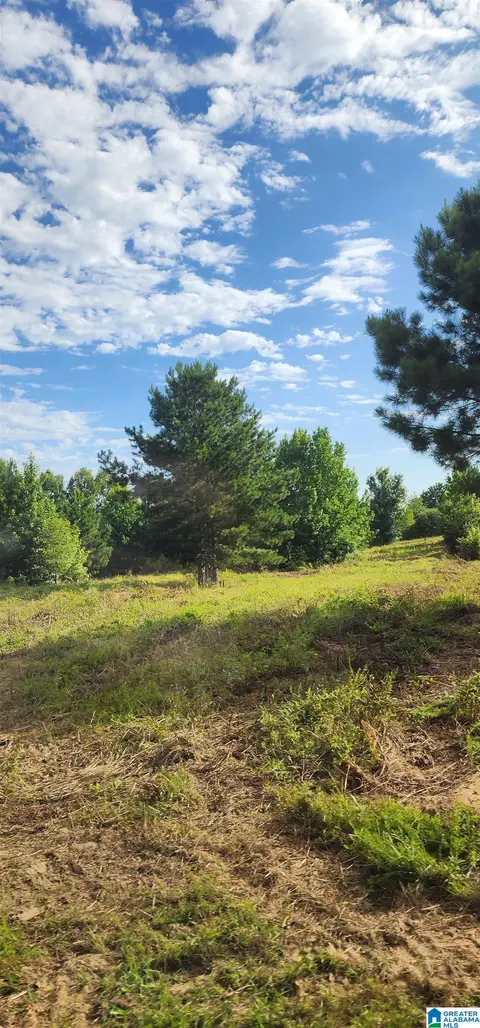 Other - 3606 Hicks Rd, Oneonta, AL 35121 photo 24 of 25